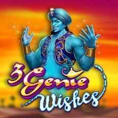 3 Genie Wishes