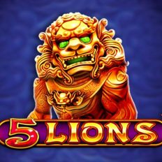 5 Lions