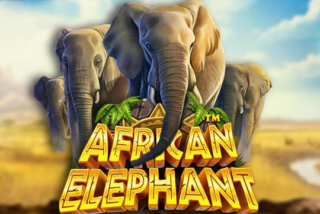 Slot bertema safari Afrika Elephant
