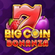 Big Coin Bonanza