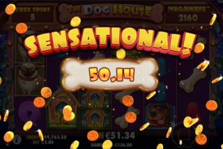 Pemain meraih kemenangan besar di slot The Dog House Megaways