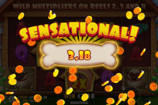 Kemenangan besar di mesin slot The Dog House