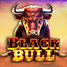 Black Bull