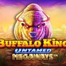 Buffalo King Untamed Megaways