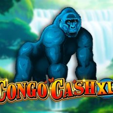 Congo Cash XL
