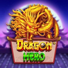 Dragon Hero