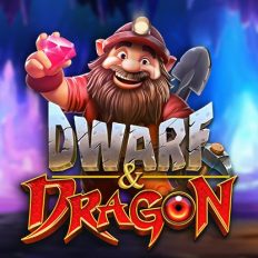 Dwarf & Dragon