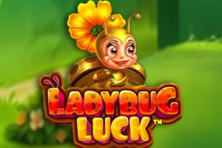 Slot Ladybug Luck