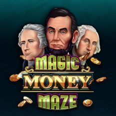 Magic Money Maze