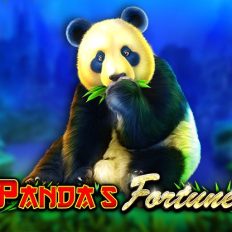 Panda’s Fortune