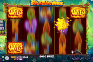 Simbol Wild Acak sebagai salah satu fitur bonus dalam permainan