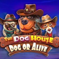 The Dog House Dog or Alive