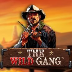 The Wild Gang