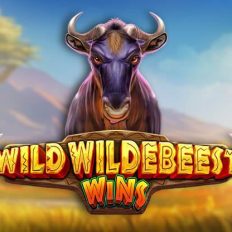 Wild Wildebeest Wins