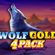 Wolf Gold 4 Pack